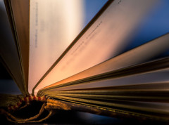 Knjiga „Druid iz Sindiduna“ Vladislava Bajca dostupan u izdanju Geopoetike