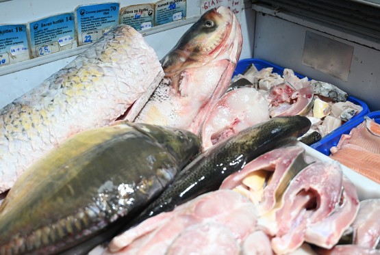 Stanje u srpskom ribarstvu sve lošije: Tri četvrtine ribe iz uvoza