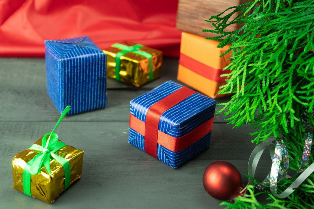 Novi Beograd paketići prijava