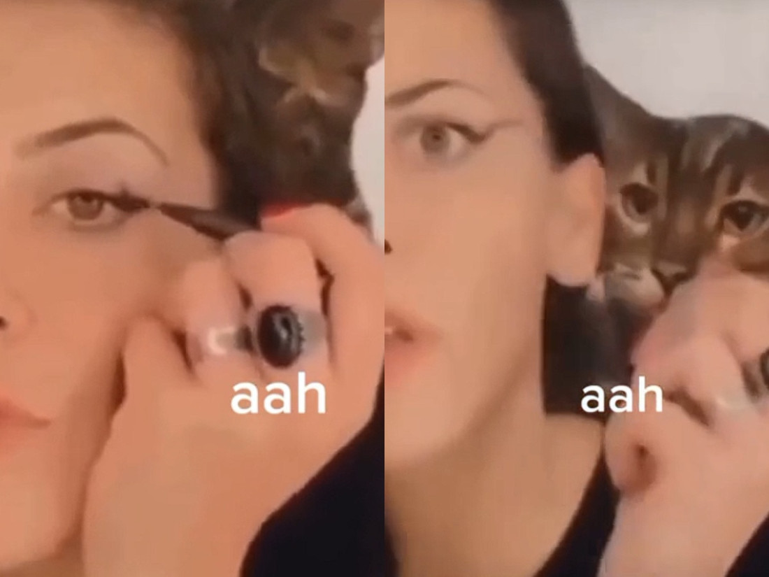 Mački je zasmetalo što se njena vlasnica šminka