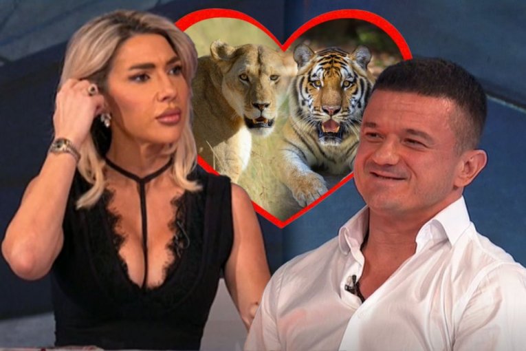 BIJE JOVANIN TIGAR, KRV PRSKA NA SVE STRANE! Šok snimak voditeljkinog dečka BEZ CENZURE