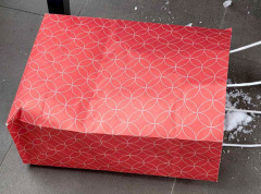 Policija zaplena tri kilograma kokaina i manju količinu municije, uhapšena dva muškarca