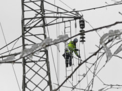 Kratkotrajno isključenje dalekovoda Arilje-Ivanjica zbog iskrivljenja stabla