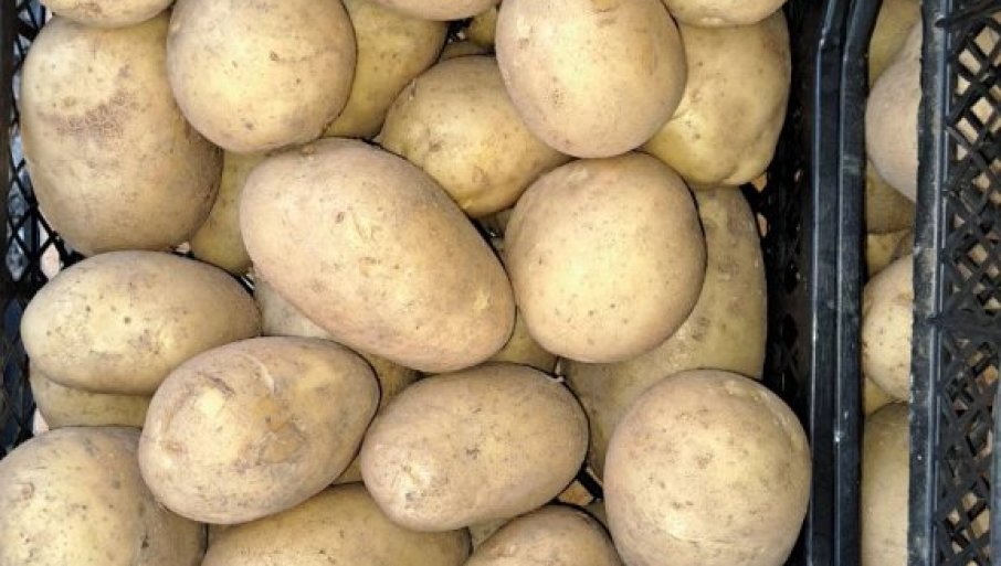 Kako su društvene mreže „preveslale“ jednog Poljaka