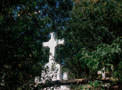 Uklonjeni pravoslavni krstovi sa grobalja kod Vrbovskog