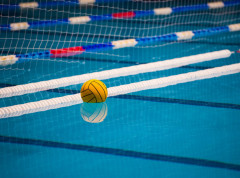 Novi Beograd ne zaslužuje tretman kakav ima u ovom momentu