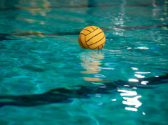 Daćemo sve od sebe da pobedimo Olimpijakos