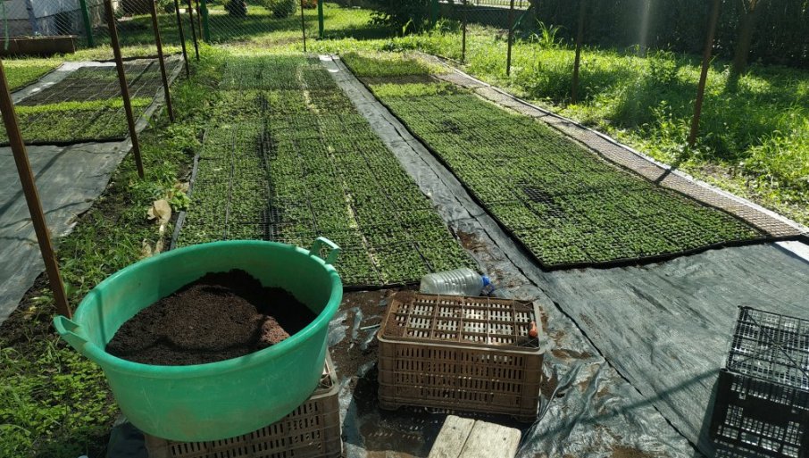 Neotvaranje eSandučeta dovelo do zastoja u isplati subvencija