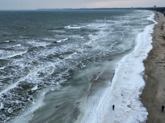 Baltičko more bez oporavka uprkos decenijama zaštite