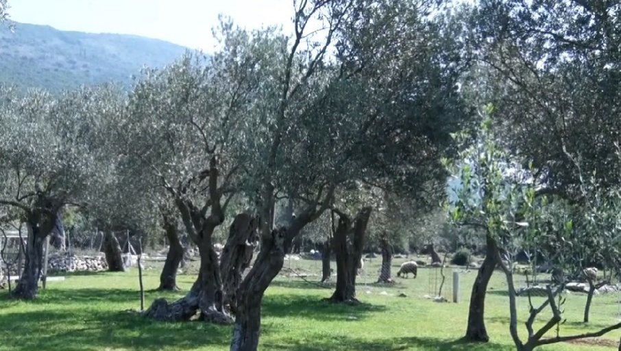 Tradicionalna kuhinja Boke u Radanovićima