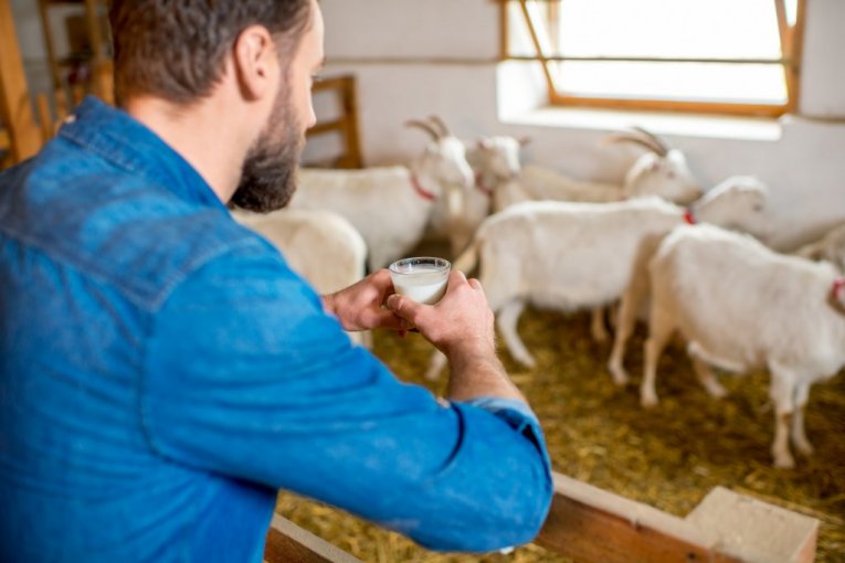 Od čistog ratarstva nema života, EVO ŠTA DONOSI NOVAC!