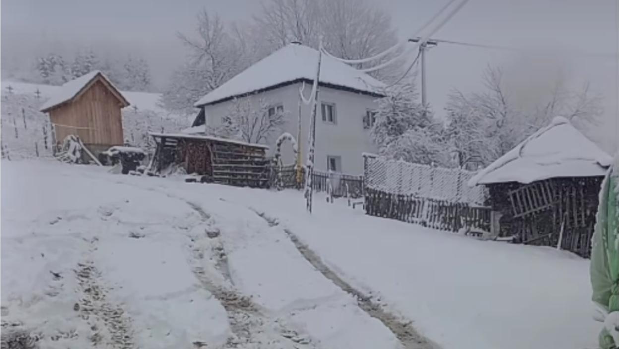 (VIDEO) Sneg okovao Ivanjicu: Bez struje stotine domaćinstava, padavine lomile grane pa nastao haos na dalekovodima