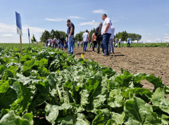 Sunoko najavio početak setve šećerne repe na 30.000 hektara, cena ove godine 45 evra po toni