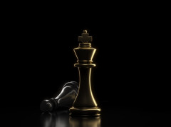 Preminuo velemajstor i jedan od najuspešnijih srpskih šahista Slavoljub Marjanović