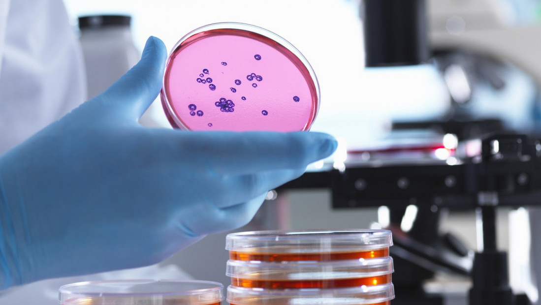 Bakterije mogu preživeti putovanje kroz svemir