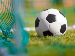 Remi u Bačkoj Topoli, fudbaleri TSC-a i kragujevačkog Radničkog odigrali bez golova