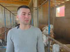 Stočarstvom se bavimo generacijama, subvencije ministarstva mnogo znače