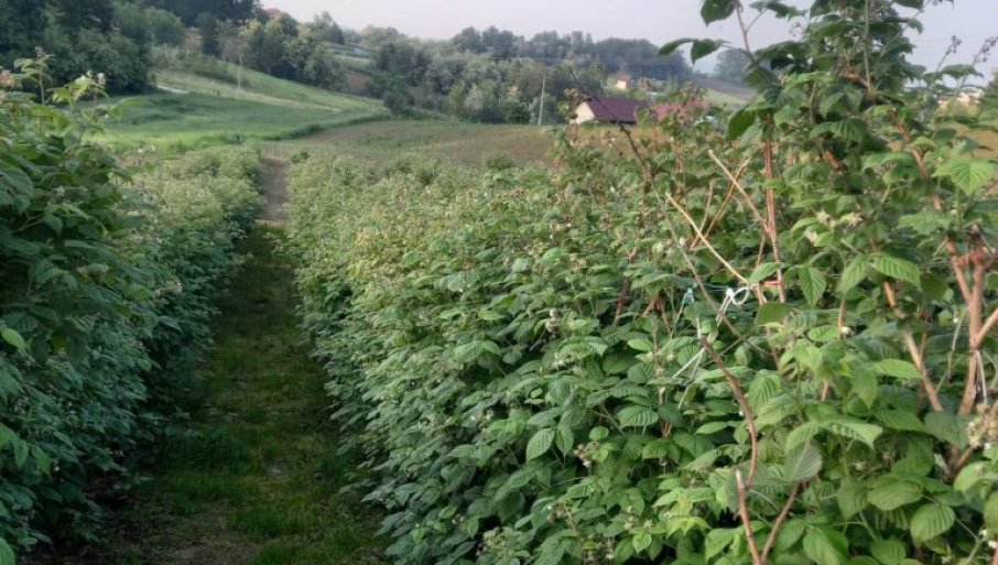 Mart bi mogao da donese veliki problem