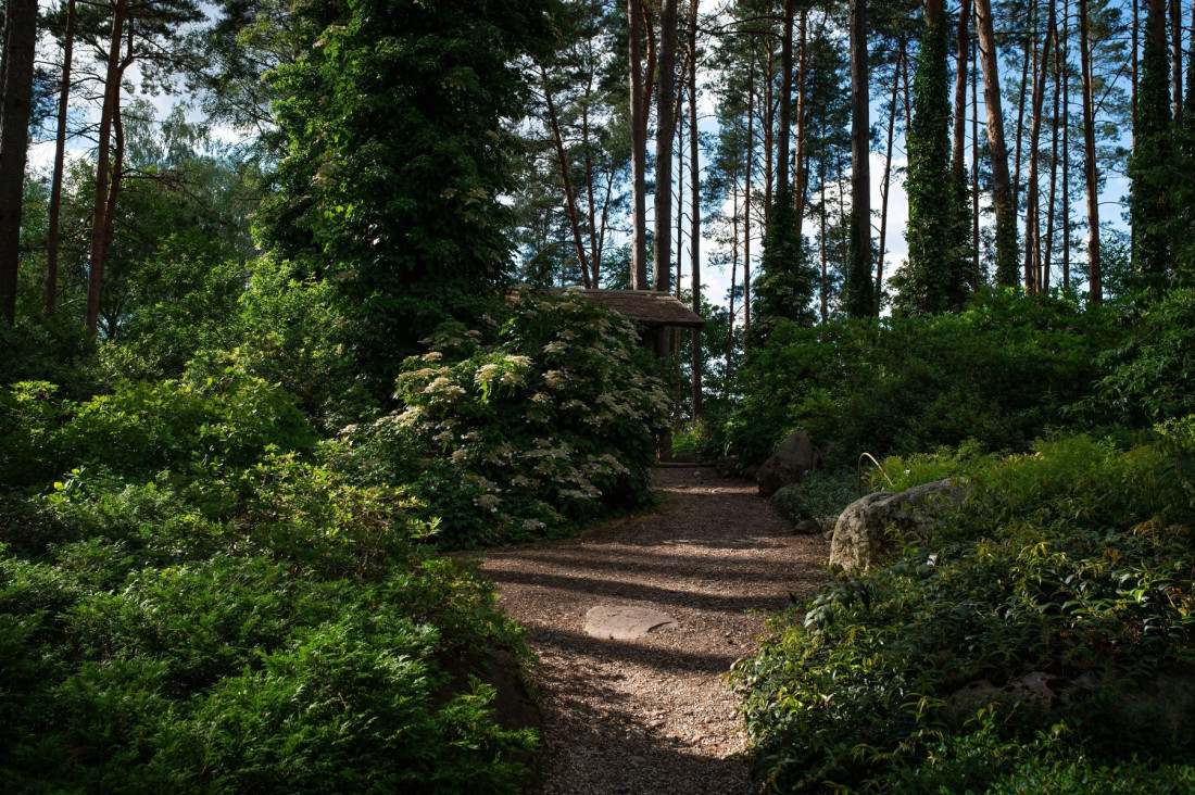 Nestala baka (77) u Zvezdarskoj šumi