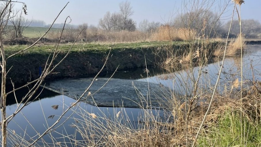 KO KRIJE UZROKE POMORA? Dva meseca posle uginuća ptica i riba u Krnjači, razlog nepoznat