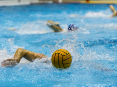 Vaterpolisti Novog Beograda poraženi od Olimpijakosa u Ligi šampiona