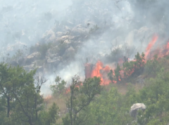 Dva šumska požara u Austriji zahvatila površinu veću od 110 hektara