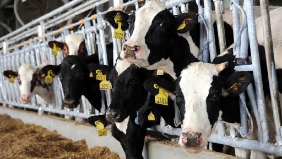 Glamočić posetio međunarodne poljoprivredne sajmove u Češkoj i Italiji