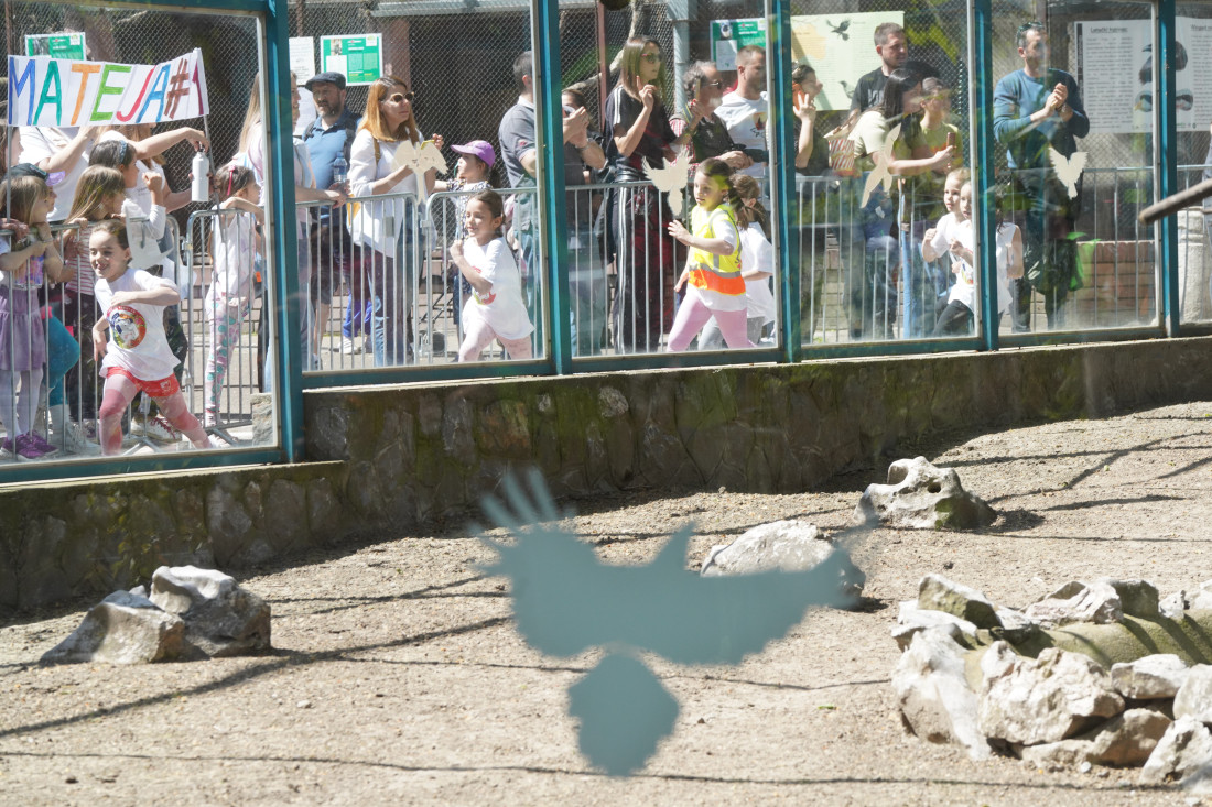 Veljko Petrović pobedio u 30. dečjem maratonu