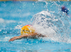 Apelujemo na fer i sportsko navijanje protiv Novog Beograda