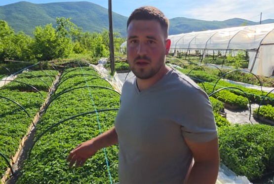 Odbio otići iz BiH, dao otkaz i izgradio posao sa 150.000 sadnica (VIDEO)