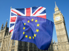 Britanska vlada predložila stvaranje jedinstvenog tržišta robe sa EU