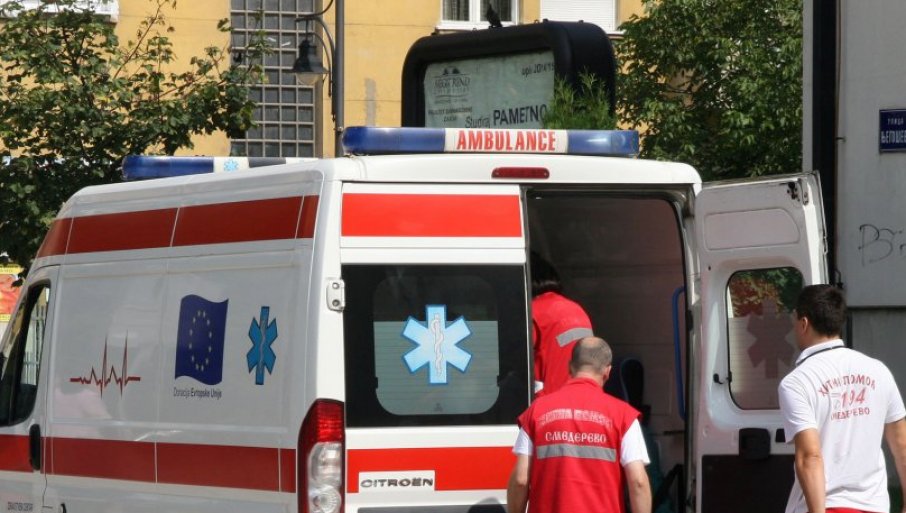 PAS NAPAO MUŠKARCA I UGRIZAO GA ZA VRAT U VETERINARSKOJ ORDINACIJI: Hitno prevezen u Urgentni centar – Užas na Bežanijskoj kosi