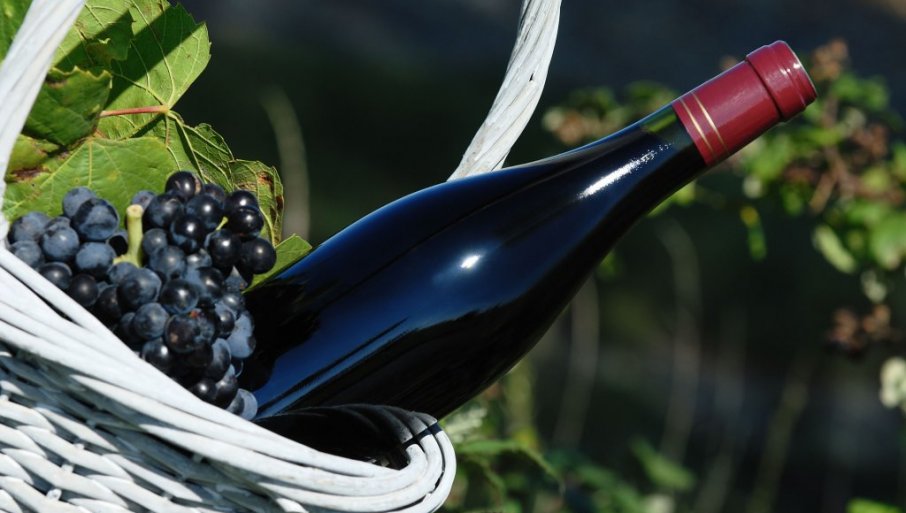 Da li znate koliko je potrebno grožđa za jednu flašu vina?