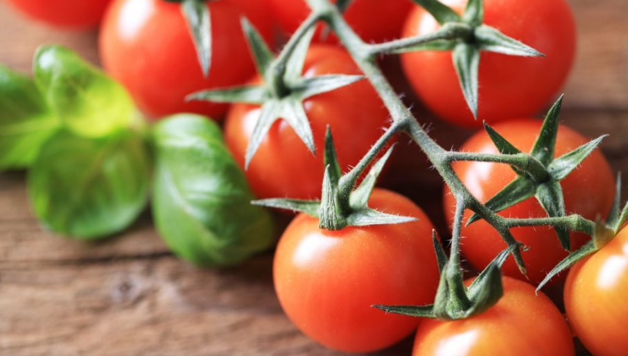 Veštačka inteligencija preciznije predviđa berbu paradajza
