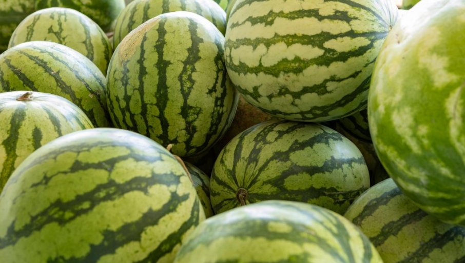 Zašto lubenice ostaju sitne i kako povećati krupnoću ploda?