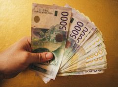 Najmanje plate u ličnim uslužnim delatnostima, najveće programerima