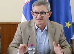Nema novih potvrda boginja ovaca i koza, 33.500 uginulih svinja zbog kuge