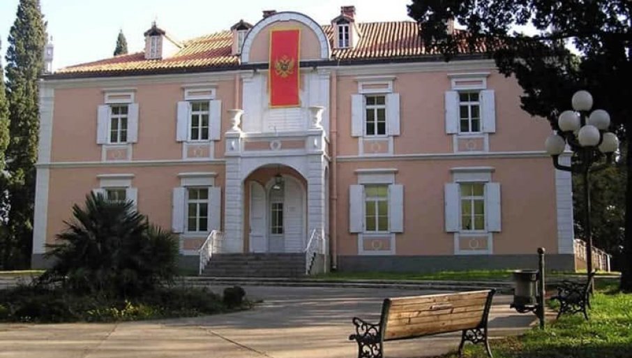 Jakov Milatović se obratio zaštitnici u vezi sa zakonom o statusu potomaka Petrović NJegoš