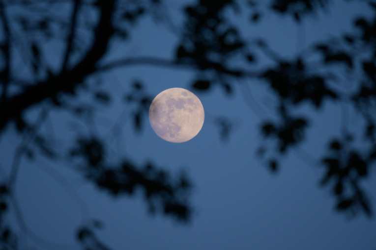 Stiže pun Mesec u Vodoliji: Astrolozi najavljuju period važnih odluka i novih početaka