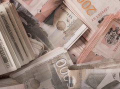 Raspisan konkurs za raspodelu 40 miliona dinara za sprovođenje odgajivačkih programa