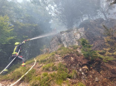 Požar kod Kranjske Gore ponovo se razbuktao