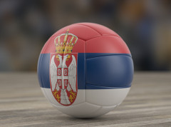 Selektor odbojkaša Srbije George Krecu odredio spisak igrača za Evropsko prvenstvo