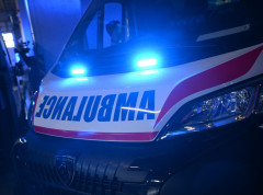 Pet osoba povređeno na Košutnjaku prilikom pada drveta