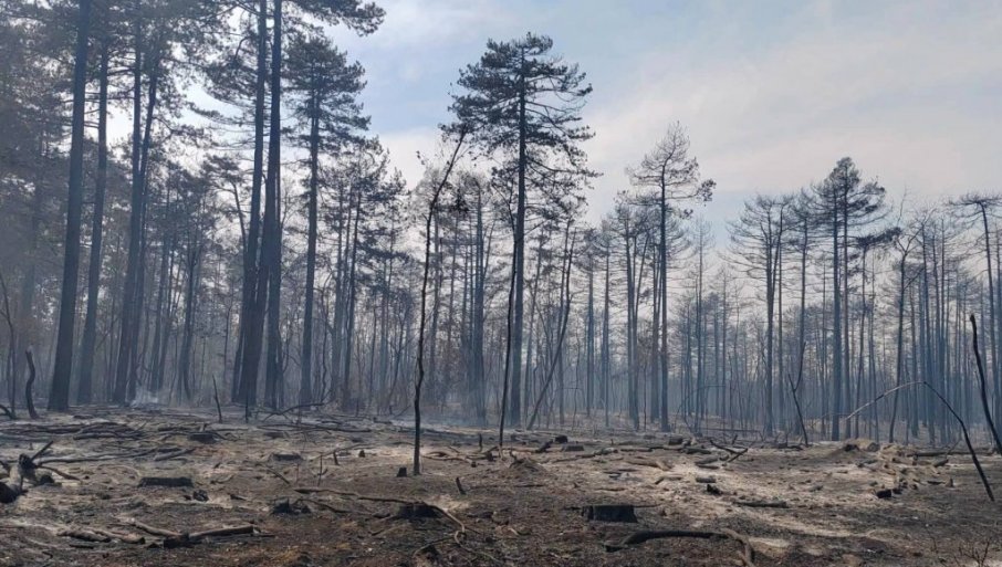 Požar još aktivan, situacija mirna i stabilna