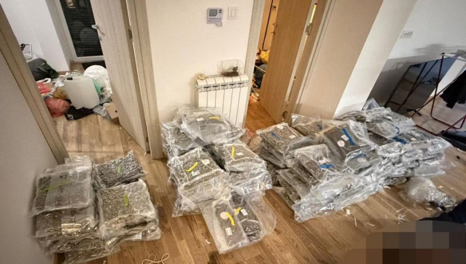 Zaplenjeno više od 200 kilograma narkotika (FOTO)